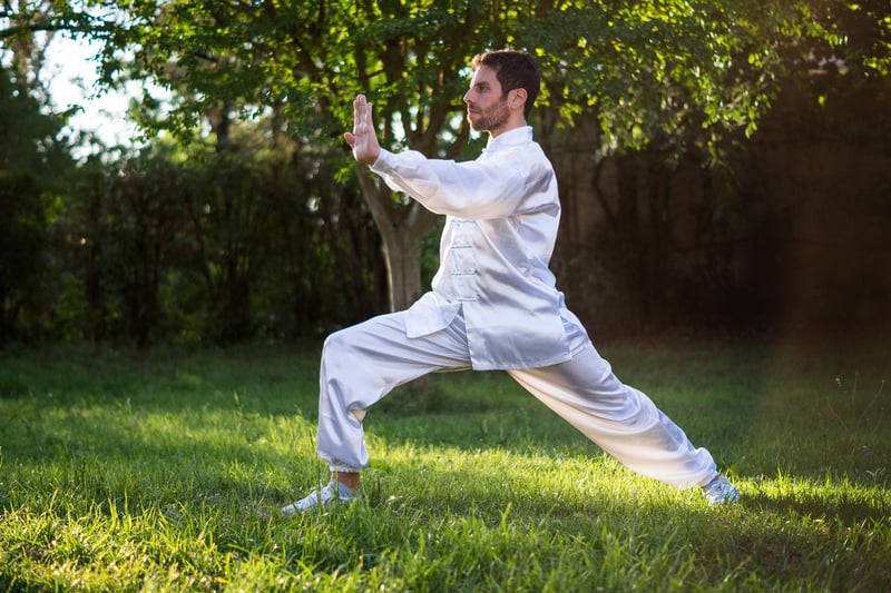 Tai Chi martial arts exercise